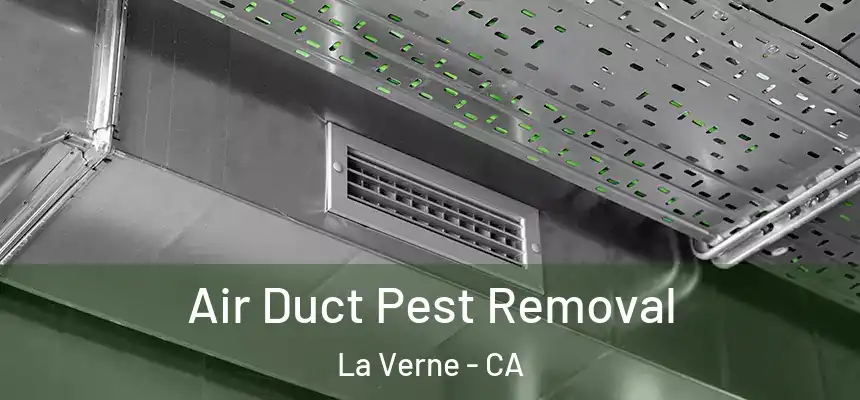 Air Duct Pest Removal La Verne - CA