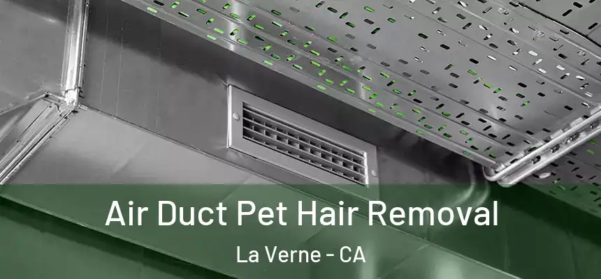 Air Duct Pet Hair Removal La Verne - CA