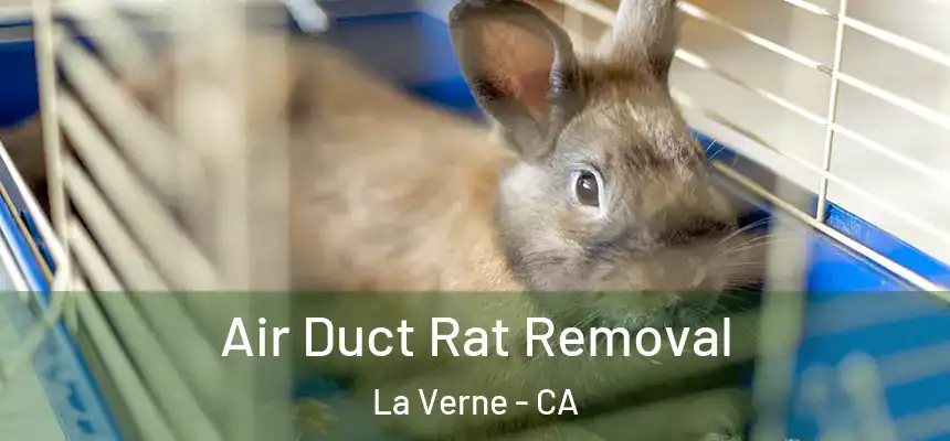 Air Duct Rat Removal La Verne - CA