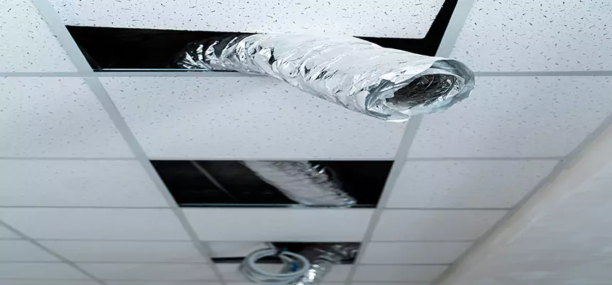 Our Air Duct Pet Hair Removal Services in La Verne, CA