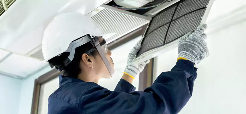 Our Mold & Mildew Removal from Air Ducts Services in La Verne, CA