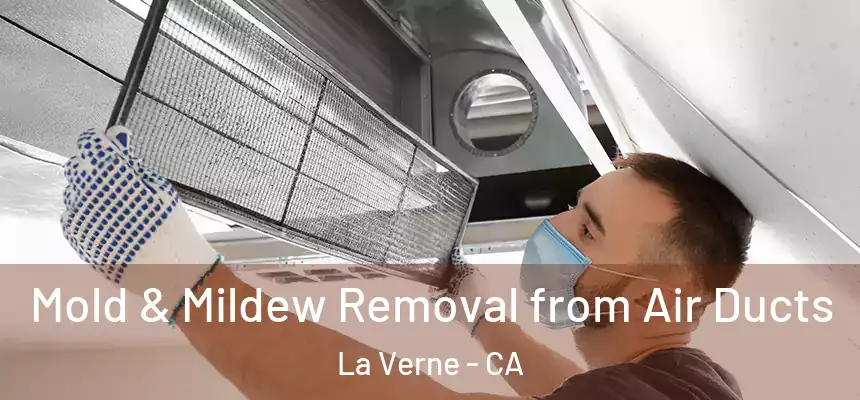 Mold & Mildew Removal from Air Ducts La Verne - CA
