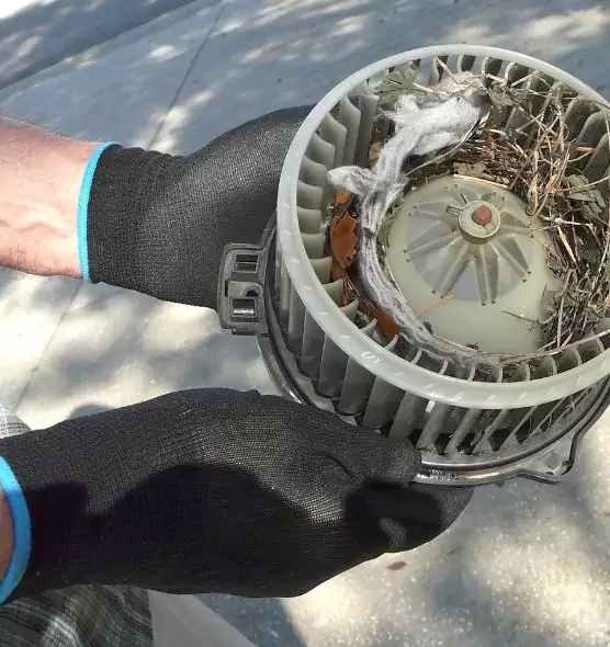 About Air Duct Rat Removal in La Verne, CA