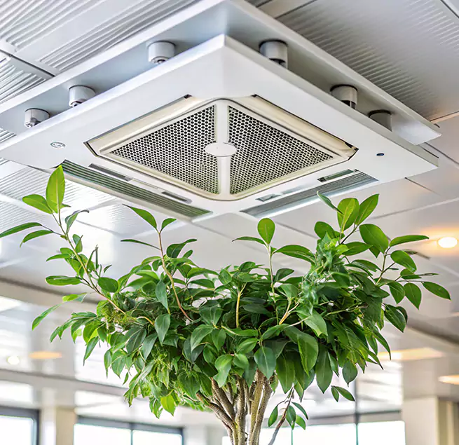 Why Homeowners & Businesses Trust Us in La Verne, CA